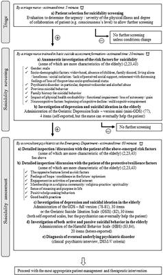 Suicidality Assessment of the Elderly With Physical Illness in the Emergency Department